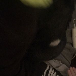 Meet your Posher, Travis